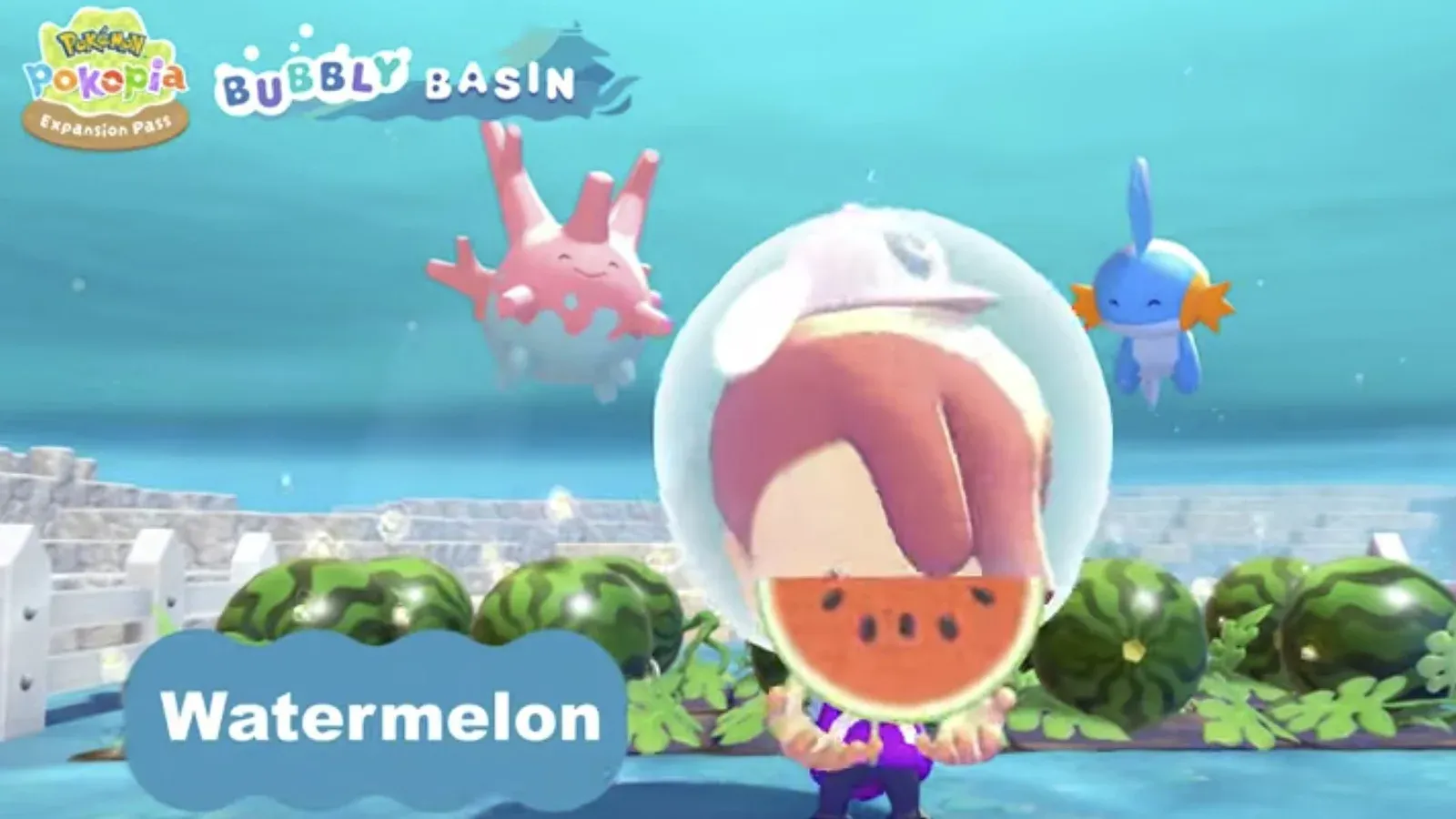 Ditto präsentiert eine Wassermelone vor dem neuen Unterwasser-Feld